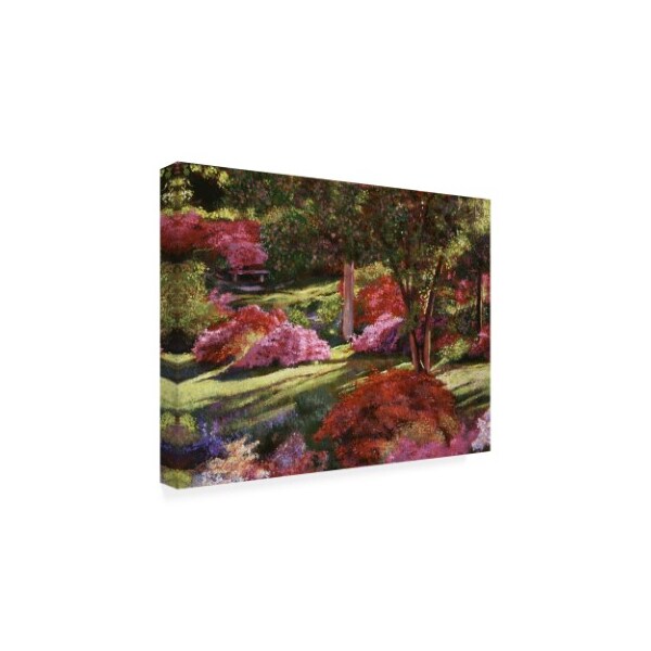 David Lloyd Glover 'Spring Azaleas In The Park' Canvas Art,24x32